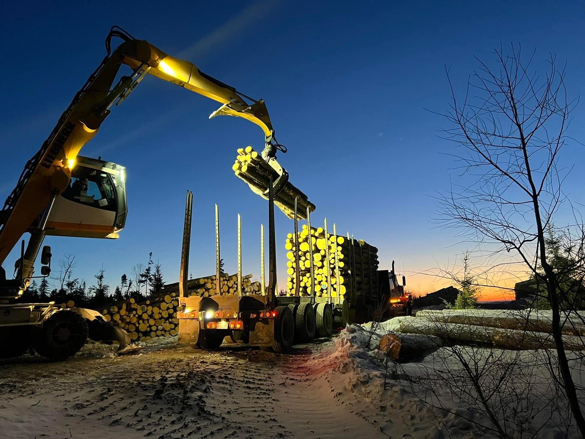 International Journal of Forest Engineering tweet media