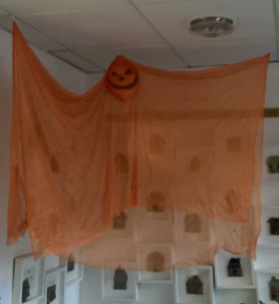 We are Hallowe’en ready ~ enter at your peril!!

The children and staff are really excited and are looking forward to our dress up day on October 29 🕸️🕷️💀🎃👻🧙

#Halloween2024 #Dressing Up #School