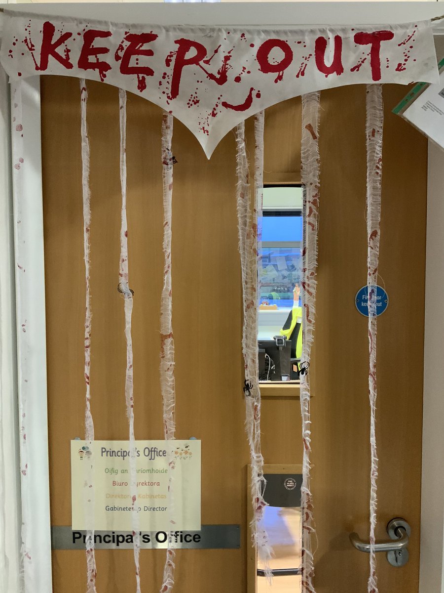 St Patrick's PS Donaghmore tweet media