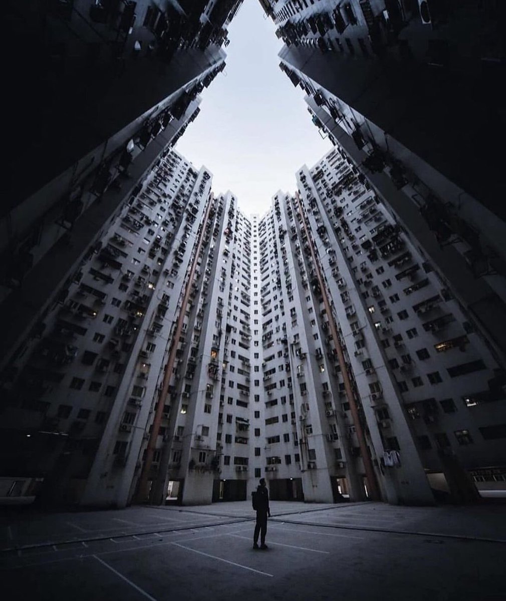 the_gpc_'s tweet photo. Looking up 📸
By: yiran ding https://t.co/XUhTbjSrhF