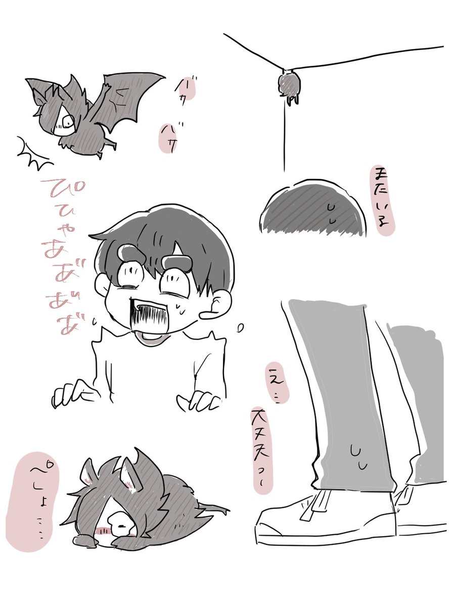 うちの玄関先に夜いつも🦇が居るんです..
昨日回覧板持ってこうと思って外出たら飛んできて叫んだら、落ちてきて焦った

どうやら私、超音波が出せる様です

この子、😈さんだったら良いのに、と思ってしまったので..ごめんなさい