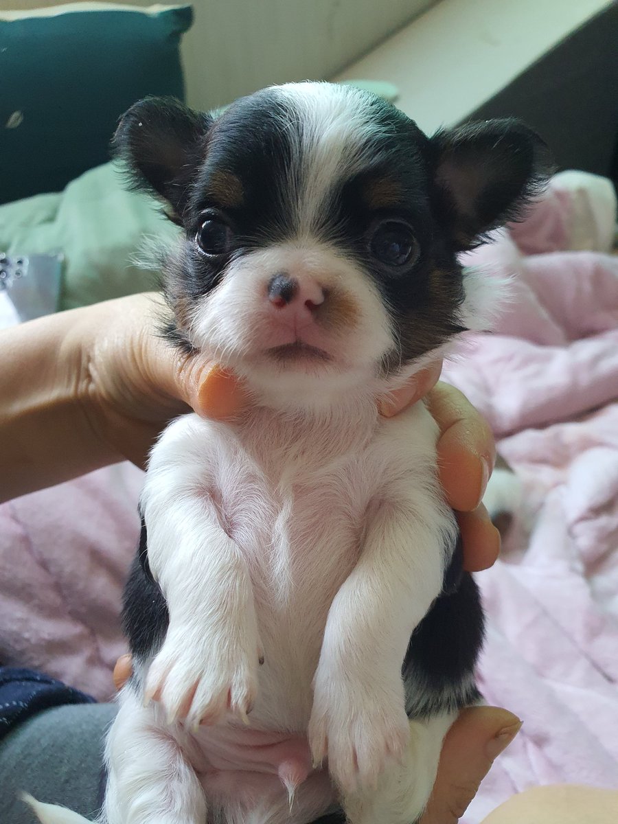 2inprisa's tweet photo. 진짜 많이 컸다 너 https://t.co/rYDFCFnJAw