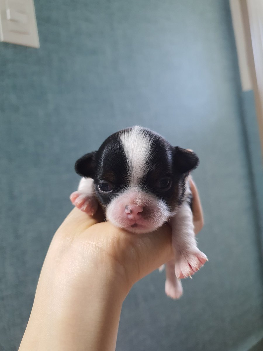 2inprisa's tweet photo. 진짜 많이 컸다 너 https://t.co/rYDFCFnJAw