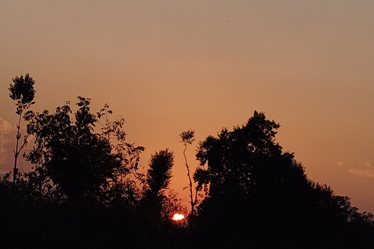 Jasira06's tweet photo. October, 16 ❣️ 
Sunset rn 🌇 🌞 ☀️ 
#octobersunset #sunset https://t.co/fT8lpYzQMB