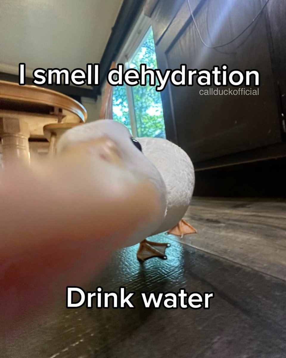 catshealdeprsn's tweet image. 