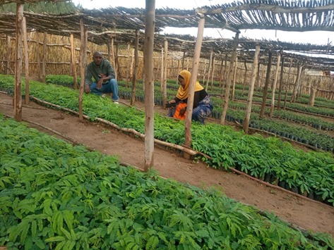 SAFE NGO tweet media