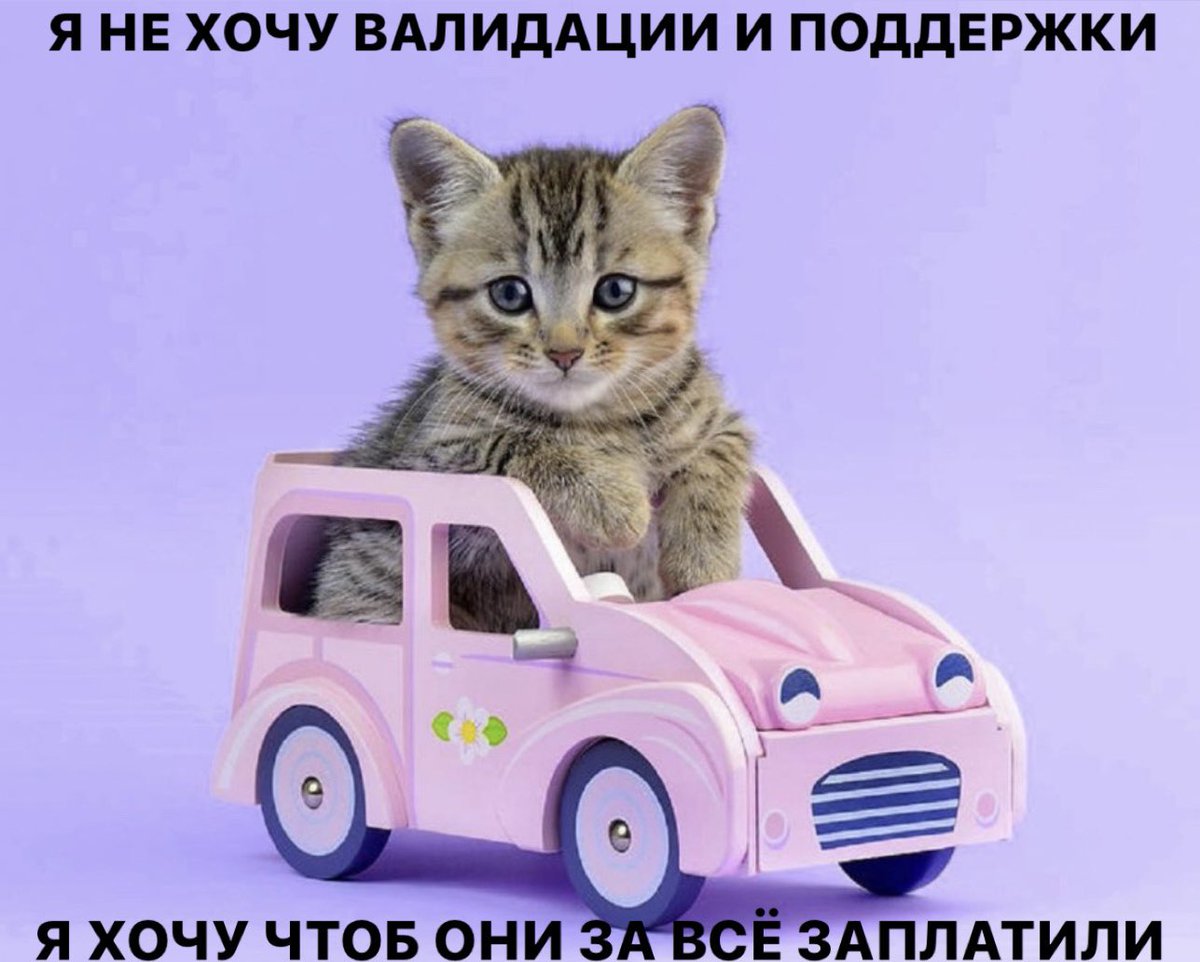 автоматизация чесания (@comradefox) on Twitter photo 
