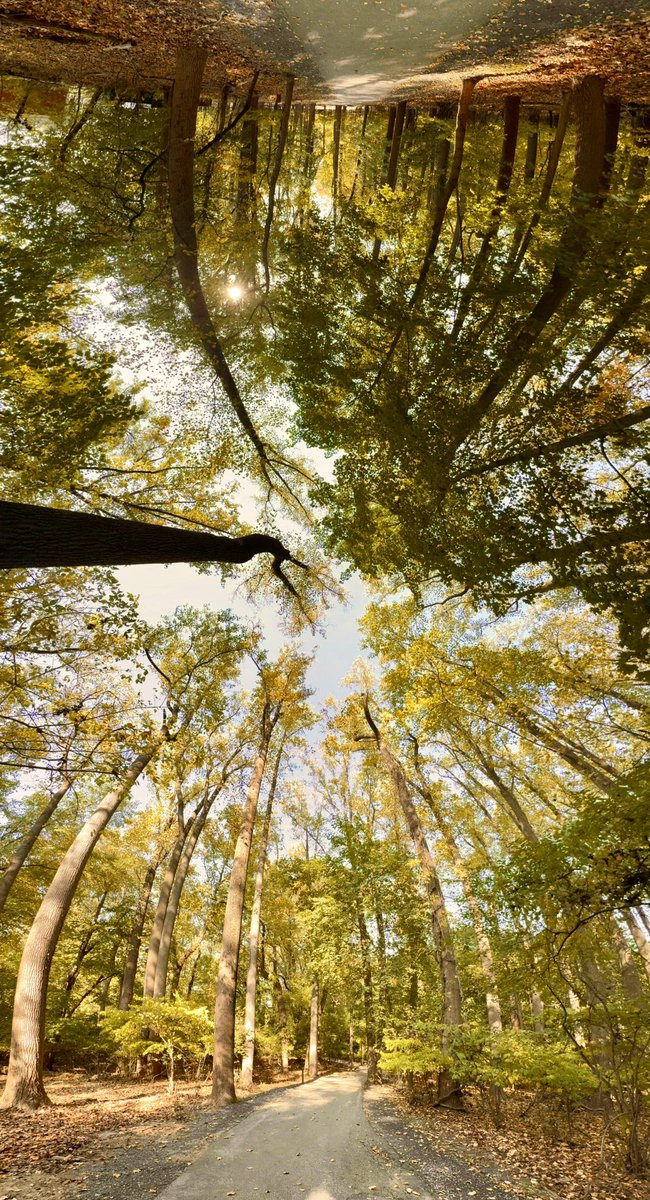 The real Four Seasons of Philadelphia (click on image for full panorama!)