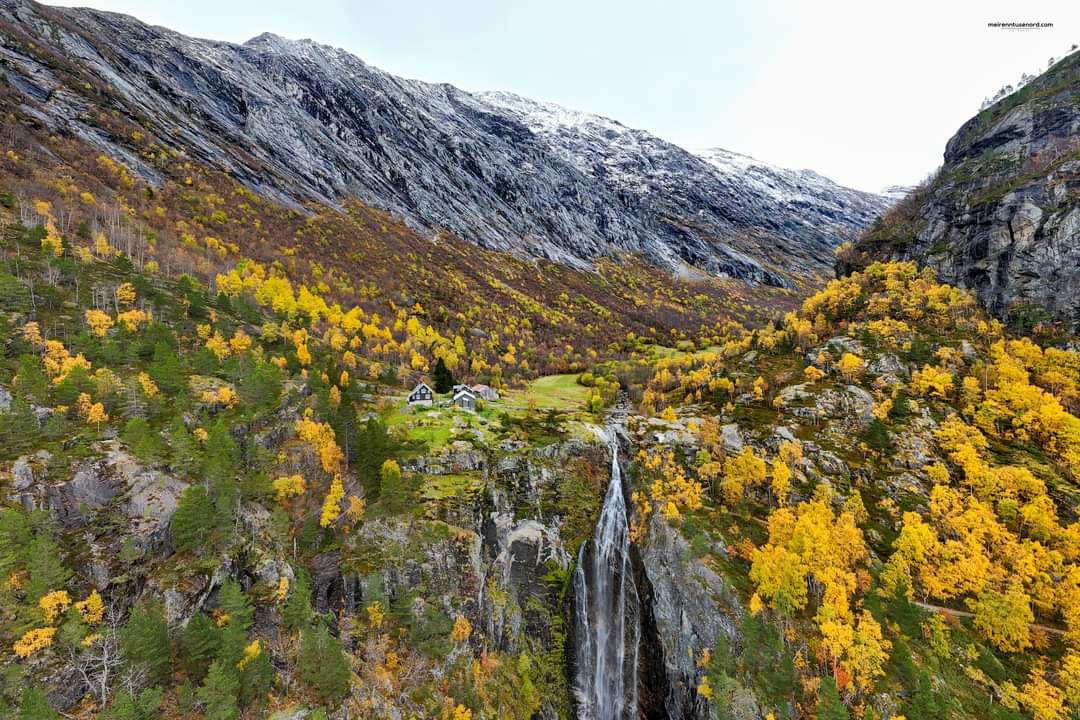 Elusive Moose tweet media