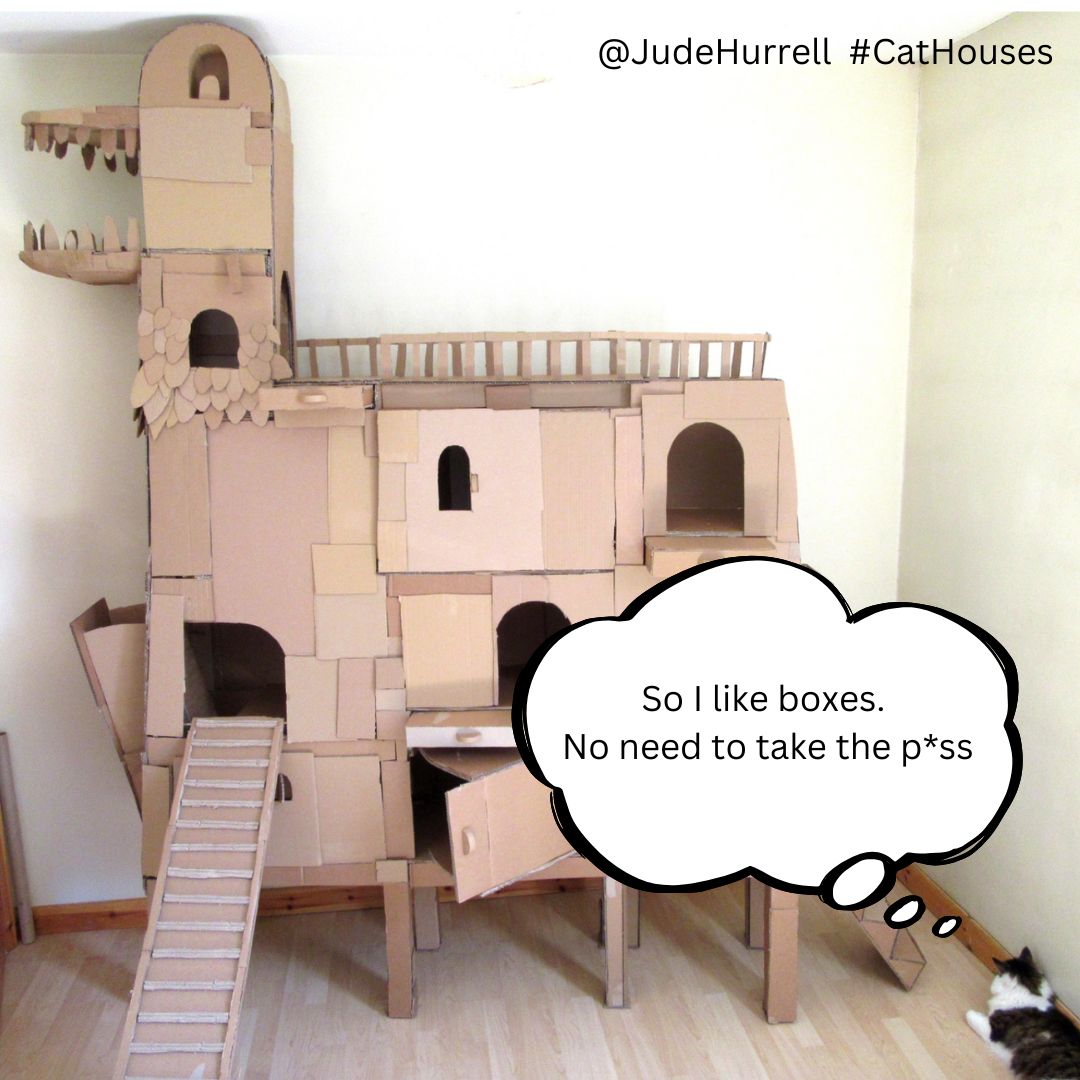 One Minute Brief of the Day: Create posters to advertise #CatHouses to celebrate #GlobalCatDay 🐈‍⬛ 📷 📷<a href="/OneMinuteBriefs/">One Minute Briefs ⏱️</a>