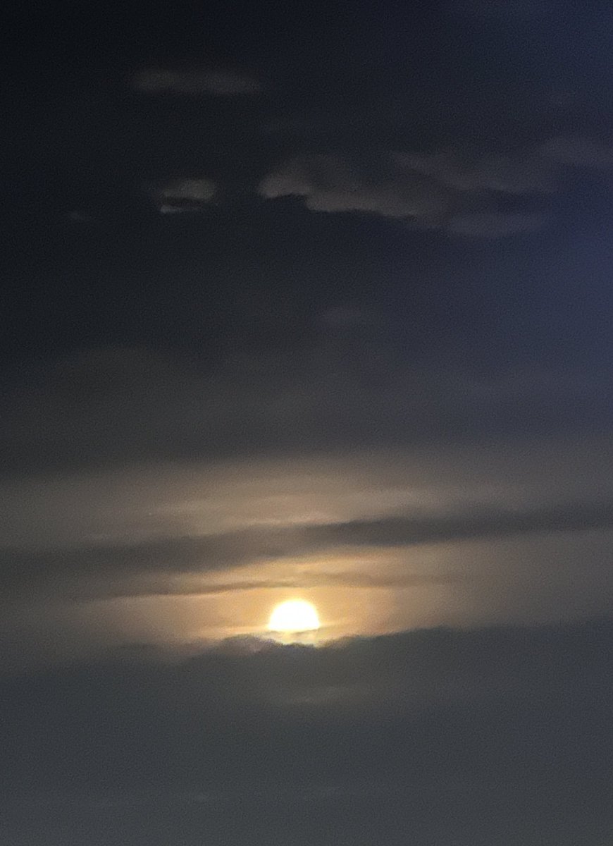 Ryan Hawes tweet media