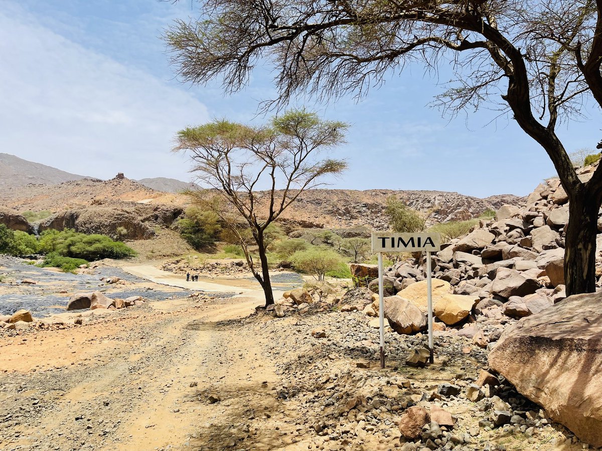 Oasis_de_Timia's tweet photo. Welcome to #Timia🌴⛰️🏜🇳🇪
  📸 - @IbrahimZakaria_ https://t.co/BbGhWOjm2n