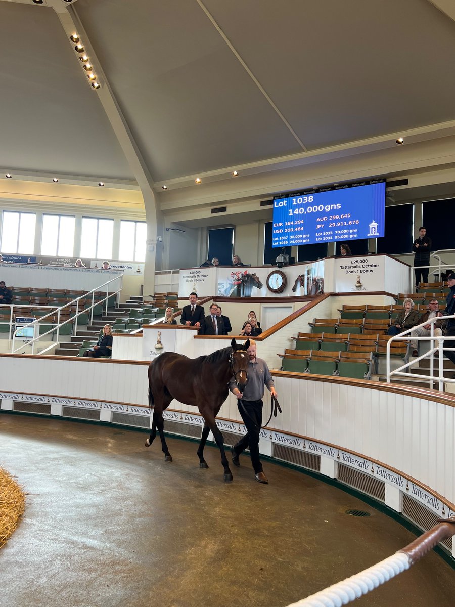 NatStudStallion's tweet photo. Our final Book 2 yearling ➡️ makes 140,000Gns 👏 

Our final Book 2 yearling ➡️ makes 140,000Gns 👏

The Camelot colt will be following in his sire’s footsteps as team @coolmorestud strike the winning bid! 

Bring on Book 3 📚

#yearlingsales #tattersalls #NSconsignment https://t.co/sYhLxsNGOY