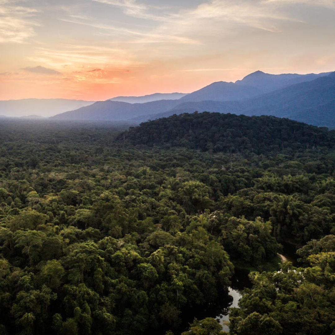 EnvDefenseFund's tweet photo. As unnatural disasters become our new normal, we must leverage every tool we have.

Next week's UN biodiversity summit offers a can't-miss opportunity for action: By conserving and restoring nature, we can secure a livable climate for generations to come. https://t.co/zR6jao2gTC https://t.co/374DHhqqaF
