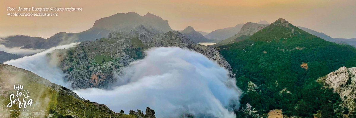 viu sa Serra ® tweet media