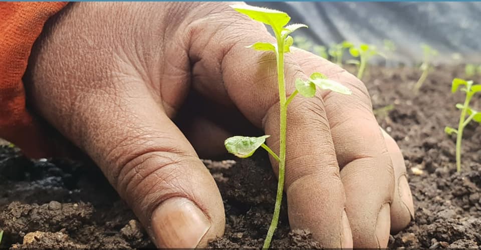 USAID Hinga Wunguke tweet media