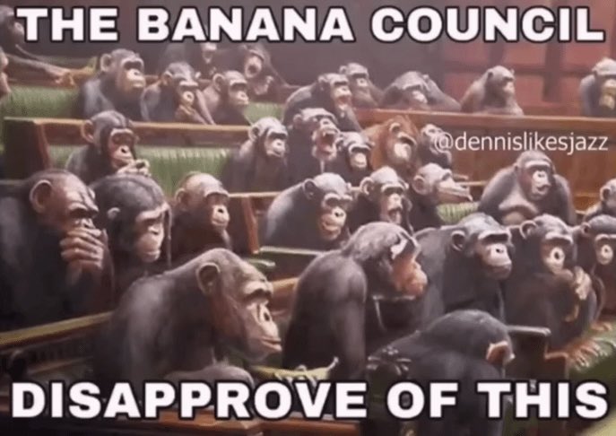 Endude2's tweet photo. @Tsuki_Anachi How dare you, the banana council shall now decide your fate https://t.co/Sj2lsemnp7
