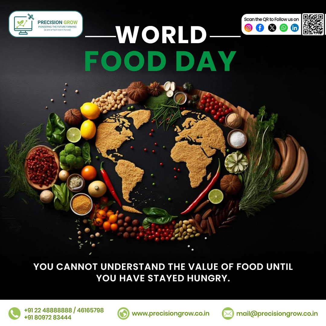 World Food Day: You Don’t Know the Value of Food Until You’ve Stayed Hungry

Ever felt that deep rumble in your stomach when you’ve gone a little too long without eating? Now imagine that feeling lasting for days, weeks, or even longer. For millions around the world, hunger isn’t