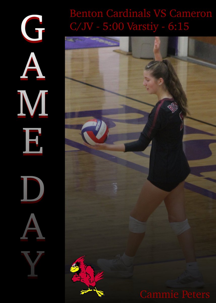 TIME TO SLAY A DRAGON!

Good luck to our Benton Cardinals Volleyball team at their road match against the Cameron Dragons!

Match Information:
Benton @ Cameron
5:00 &amp; 6:15 PM
Cameron High School