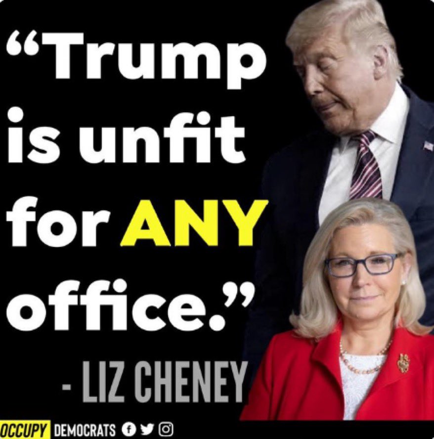 Do you agree with Liz Cheney? Yes or No?