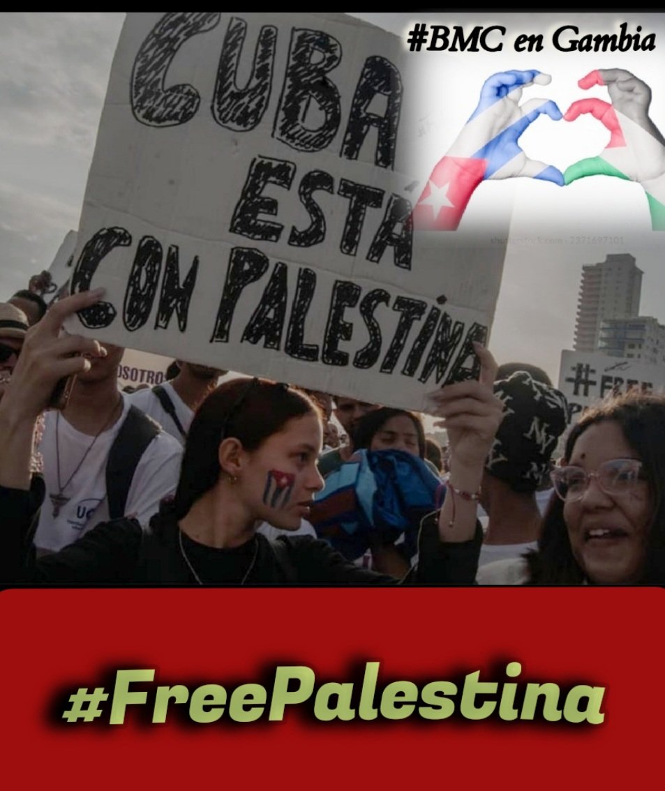 Teyam54's tweet photo. ❤️🇨🇺💯 #Reafirmamos🇨🇺 nuestra solidaridad con #Palestina🇵🇸
 [... La humanidad no olvidará ni el heroísmo de los agredidos, ni la barbarie de los agresores...] 
   Fidel Castro.
#NoAlGenocidioEnPalestina
#NoAlTerrorismo 
#PalestinaNoEstáSola
@BmcGambiaBlog
@CubaGambia https://t.co/PgiJJ8dGvo