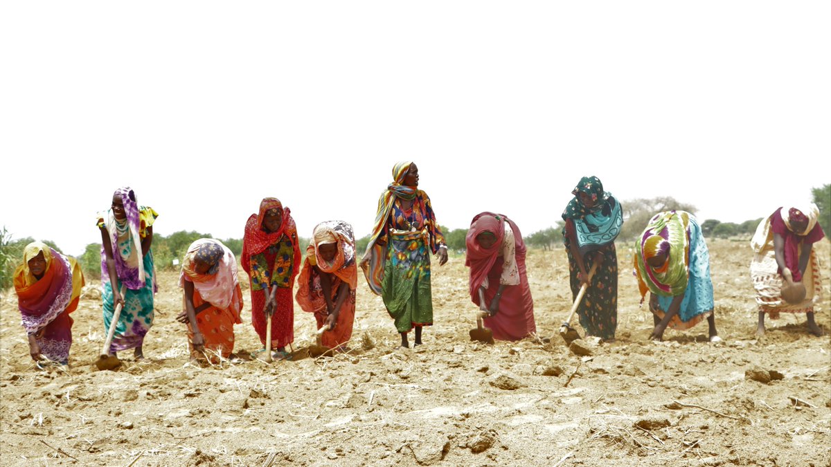 WFP_Chad's tweet photo. #JournéeMondialeDelAlimentation Ensemble avec le gouvernement, nous pouvons atteindre l'Agenda 2030 en transformant les systèmes agroalimentaires pour une production, une nutrition, un environnement et une qualité de vie améliorés, sans laisser personne de côté. https://t.co/eRIiezImHk