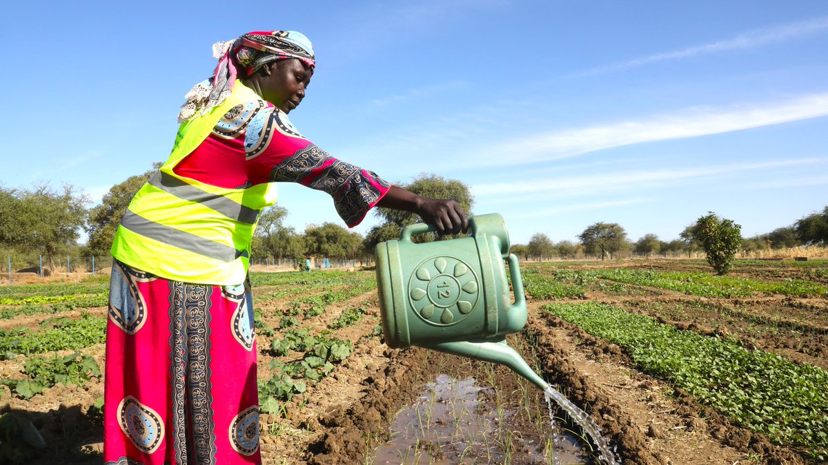 WFP_Chad's tweet photo. #JournéeMondialeDelAlimentation Ensemble avec le gouvernement, nous pouvons atteindre l'Agenda 2030 en transformant les systèmes agroalimentaires pour une production, une nutrition, un environnement et une qualité de vie améliorés, sans laisser personne de côté. https://t.co/eRIiezImHk