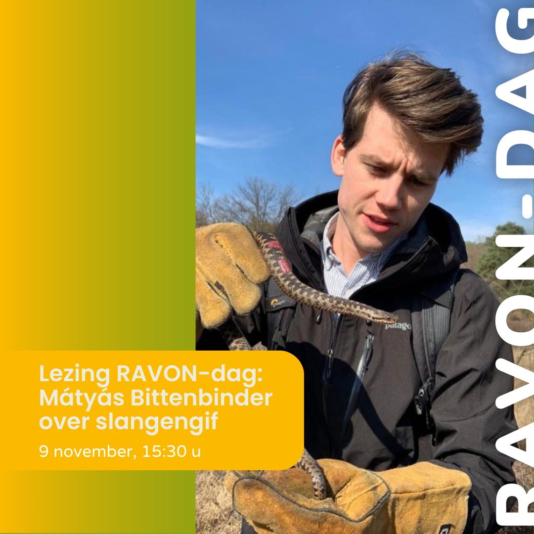 RAVON-dag 2024: alles over reptielen, amfibieën en vissen 🐍🦎🐟🐸 De RAVON-dag op 9 nov a.s. is hét event voor reptielen-, amfibieën- en visliefhebbers, met lezingen, films, workshops &amp; een informatiemarkt. Programma en aanmelden: ravon.nl/RAVONdag