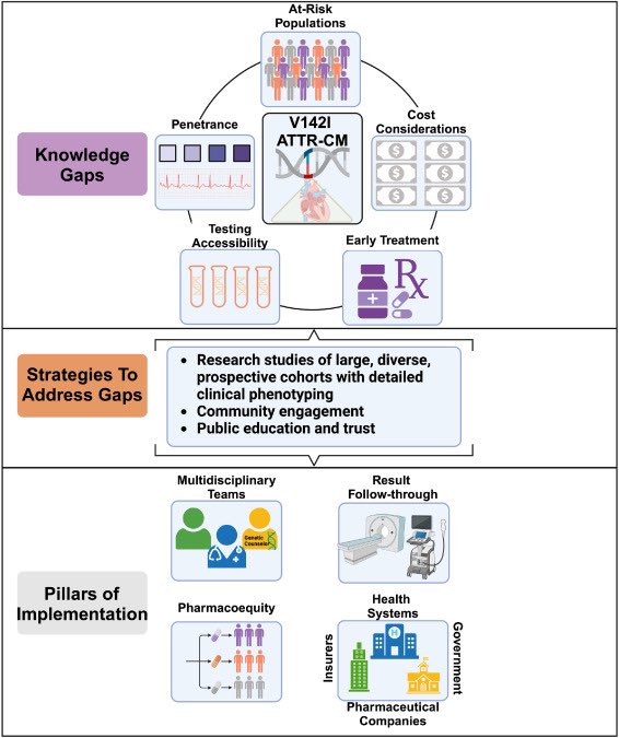 jregan2012's tweet image. Grateful for the mentorship from this outstanding group of co-authors for our Perspectives piece in @JCardFail Discussing systematic screening for V142I ATTR-CM 🫀 @MGKhouri_md @OpeyemiOlabisi8 @KMAlexanderMD @HeartDocSadiya @SvatiShah @senthil_selv

kwnsfk27.r.eu-west-1.awstrack.me/L0/https:%2F%2…