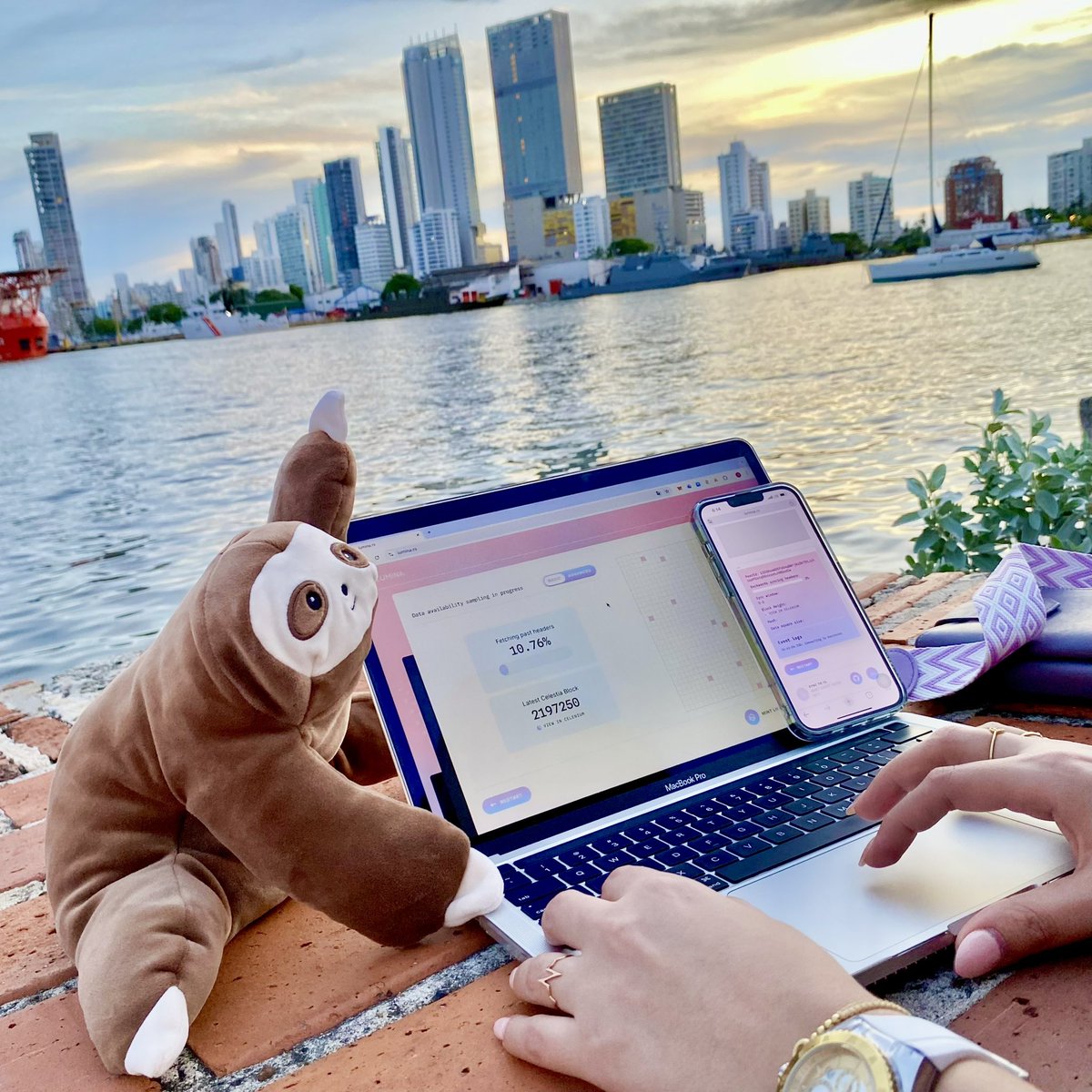Announcing the winners of the Celestia Summer Light Node Challenge In ...