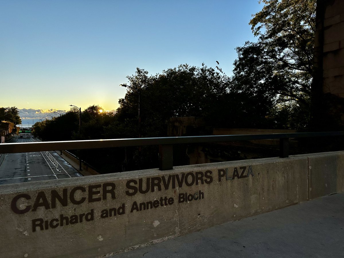 marklewismd's tweet image. Starting my day in Chicago, fittingly enough for an oncology research meeting, at Cancer Survivors Plaza — here’s to many more! #swogonc