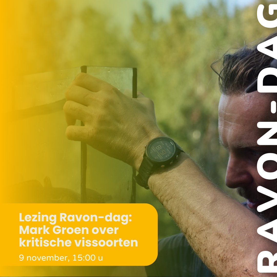 RAVON-dag 2024: alles over reptielen, amfibieën en vissen 🐍🦎🐟🐸 De RAVON-dag op 9 nov a.s. is hét event voor reptielen-, amfibieën- en visliefhebbers, met lezingen, films, workshops &amp; een informatiemarkt. Programma en aanmelden: ravon.nl/RAVONdag