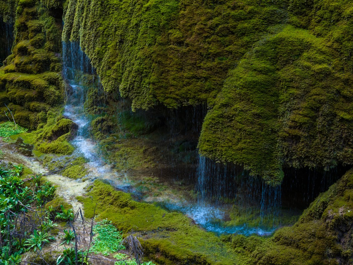 ExperienceAZE's tweet photo. In Shusha, beauty reigns supreme! 🌿✨ Isa Spring, famed for its icy-cold waters in summer and warmth in winter, is a must-visit—“If you haven't been to Isa Spring, you haven't been to Shusha.” Fully restored, it’s the perfect spot to refresh your body and soul. 💧 Don’t miss the enchanting Shir-Shir Waterfall, or ‘Chetir Waterfall,’ cascading into the River Dashalti amid a fairy-tale landscape. 🌈 Topkhana Forest, covering 20% of the district, is flourishing once more with oak and hornbeam trees, while Gargarchay Canyon offers ecotourism adventures with ancient caves and stunning waterfalls. Explore the natural treasures of Shusha and immerse yourself in its serene beauty! 

https://t.co/56DR0j1Syp

#Azerbaijan #ExperienceAzerbaijan #TakeAnotherLook #TravelAzerbaijan #AzerbaijanTravel #COP29 #COP29Azerbaijan