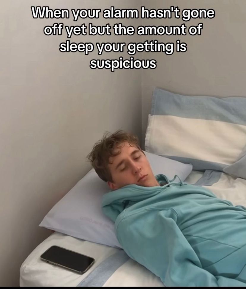 Wild TikToks (@wildtiktokss) on Twitter photo 