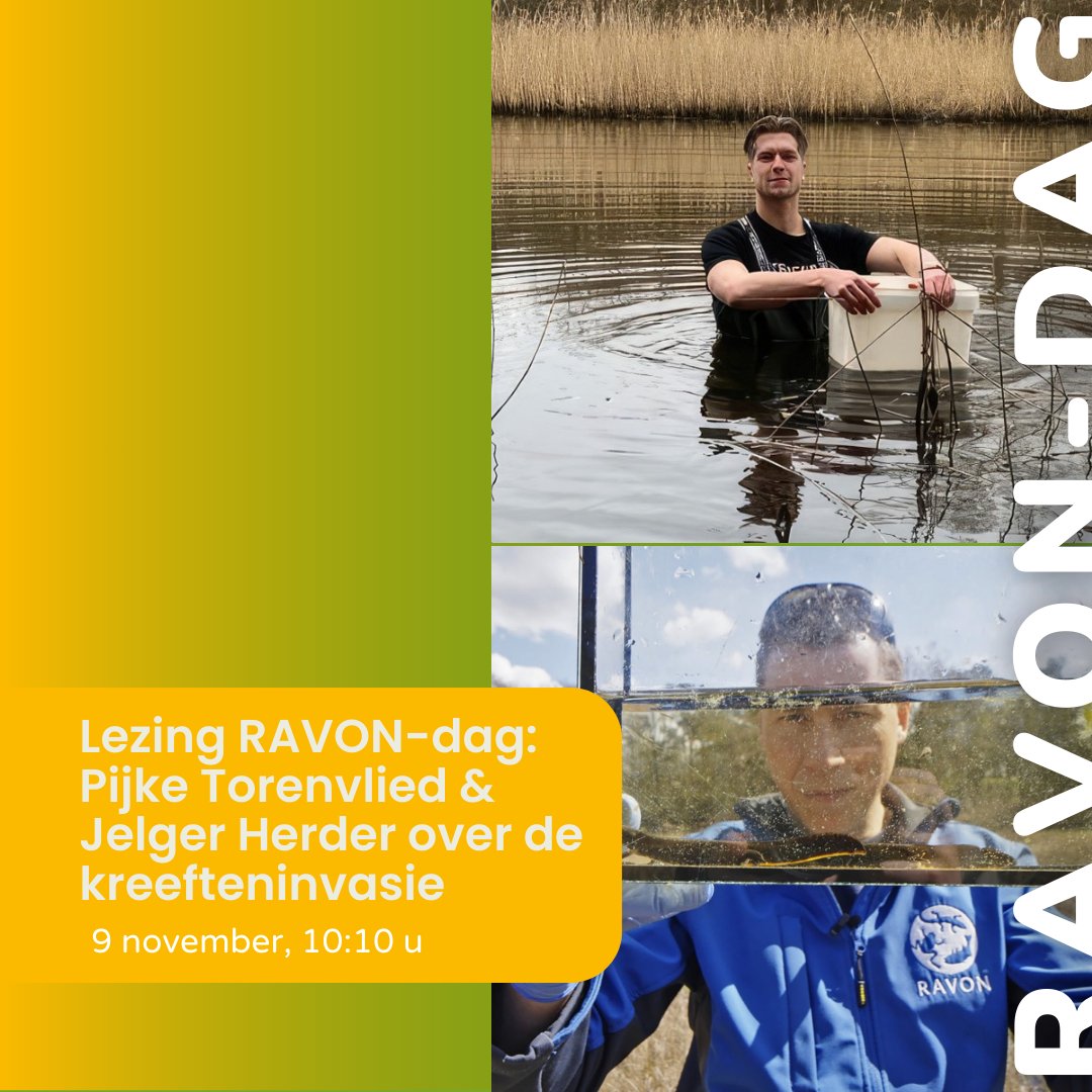 RAVON-dag 2024: alles over reptielen, amfibieën en vissen 🐍🦎🐟🐸 De RAVON-dag op 9 nov a.s. is hét event voor reptielen-, amfibieën- en visliefhebbers, met lezingen, films, workshops &amp; een informatiemarkt. Programma en aanmelden: ravon.nl/RAVONdag
