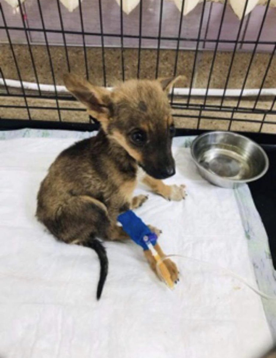 Niall Harbison tweet media