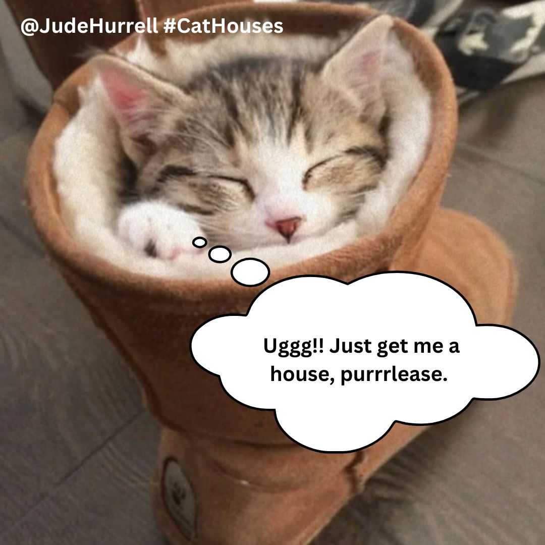 One Minute Brief of the Day: Create posters to advertise #CatHouses to celebrate #GlobalCatDay 🐈‍⬛ 📷 📷<a href="/OneMinuteBriefs/">One Minute Briefs ⏱️</a>