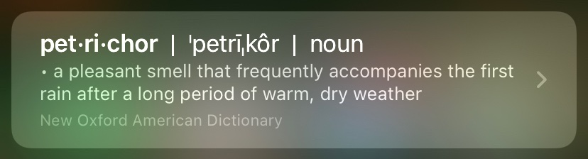 _jstbcuz's tweet photo. Y’all smell that petrichor 👃🏽 https://t.co/Gi9MYFVdjF