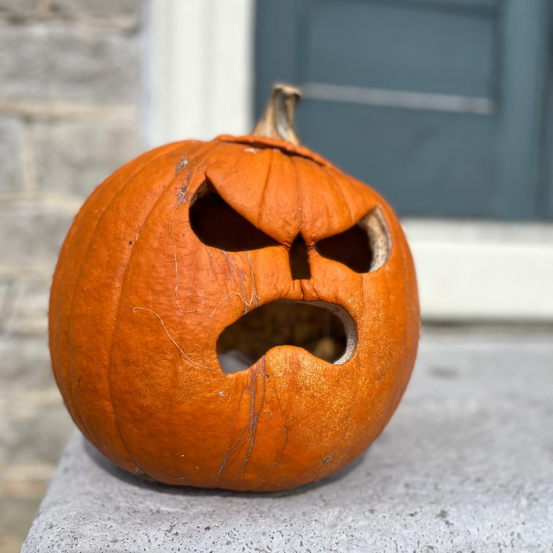 TheFont1798 tweet media