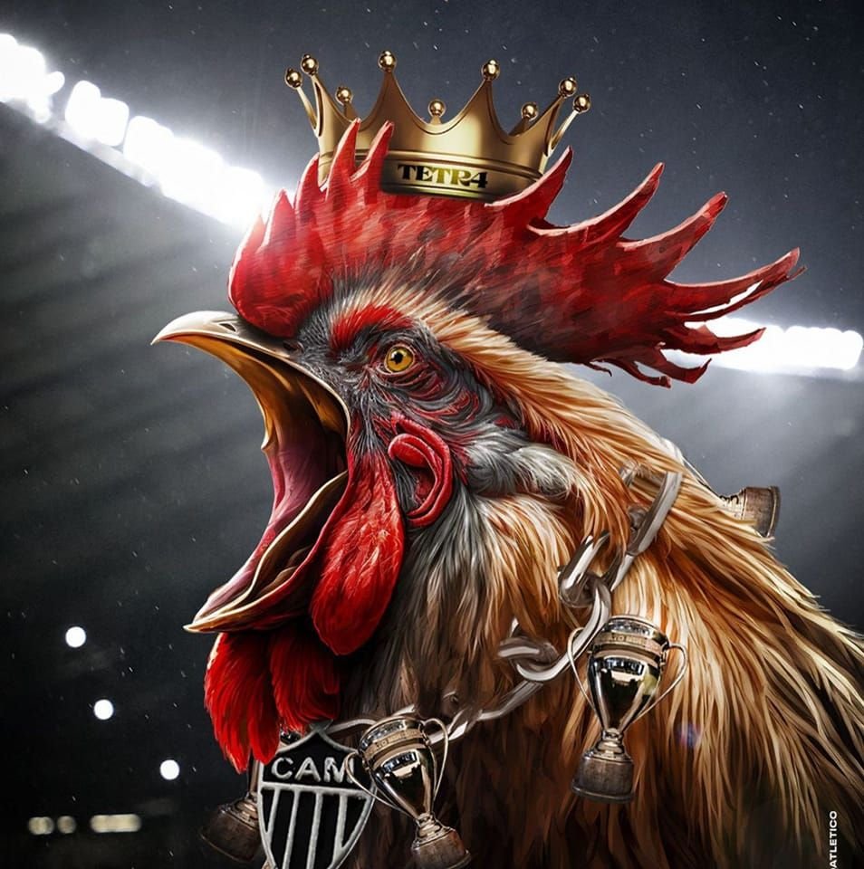 Boa tarde Apagados, hoje temos o maior clube do universo em campo...  

Quem lembra da Galo Muro no antigo independência? 

Belo muro aquele né... 

2x0 hoje pa nóis...