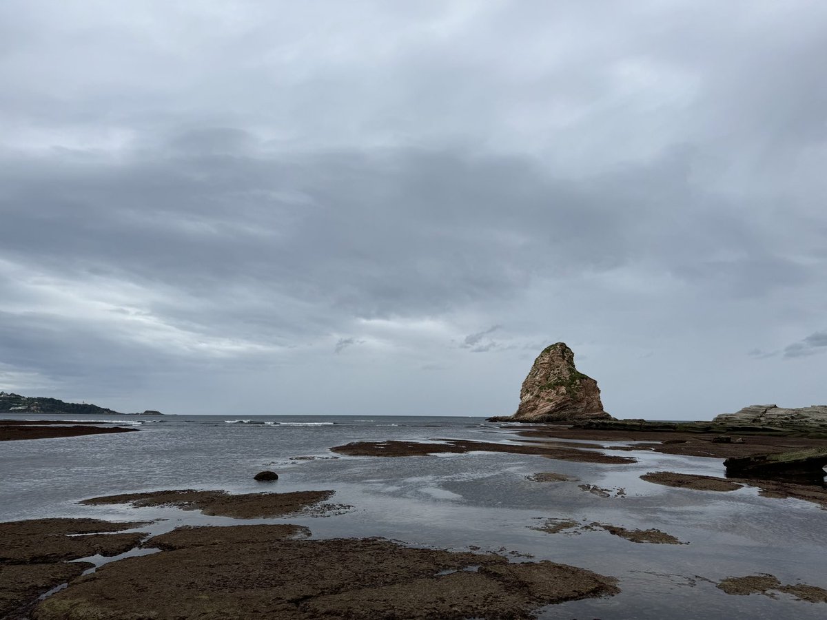 Laurent Seuront (@laurentseuront) on Twitter photo Guess what? After four days spent roaming the shores of Brittany, drilling holes in rocks and deploying a range of biomimetic loggers, I needed a change! #ROCOBS is now at the windy Spanish border. More to come. <a href="/CNRS_HdF/">CNRS Hauts-de-France</a> <a href="/univ_lille/">Université de Lille</a> <a href="/fst_univlille/">fst_univlille</a> Guess what? After four days spent roaming the shores of Brittany, drilling holes in rocks and deploying a range of biomimetic loggers, I needed a change! #ROCOBS is now at the windy Spanish border. More to come. <a href="/CNRS_HdF/">CNRS Hauts-de-France</a> <a href="/univ_lille/">Université de Lille</a> <a href="/fst_univlille/">fst_univlille</a>