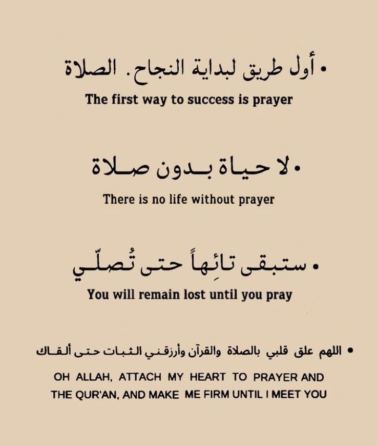 لم تحط الصلاة بالمكانة الأولى في حياتك راح يكون وتلاقي كل الأمور الباقية بتاخذ مكانها الصحيح تلقائيًا🖤