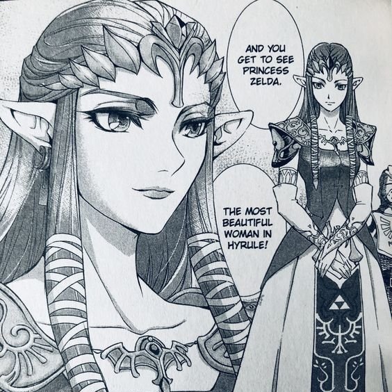pikzel08's tweet photo. they made Zelda so pretty in the Twilight princess manga https://t.co/O76CaRnSZM
