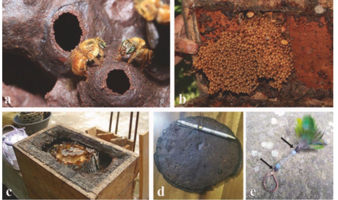 Victor H. Gonzalez Betancourt tweet media