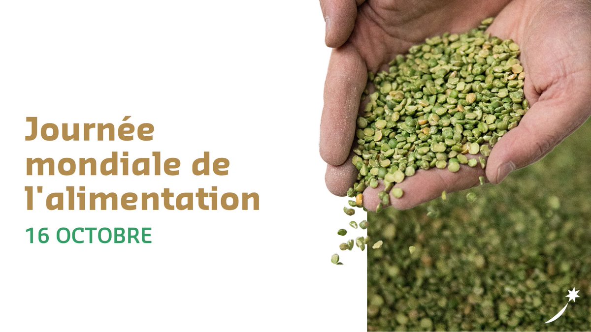🌍 #WorldFoodDay: Millions face food insecurity. #SodexoCanada provides healthy meals by cutting waste &amp; supporting farming.
-
🌍 #JournéeMondialeDeLAlimentation : Des millions souffrent d'insécurité alimentaire. #SodexoCanada réduit le gaspillage et offre des repas sains.