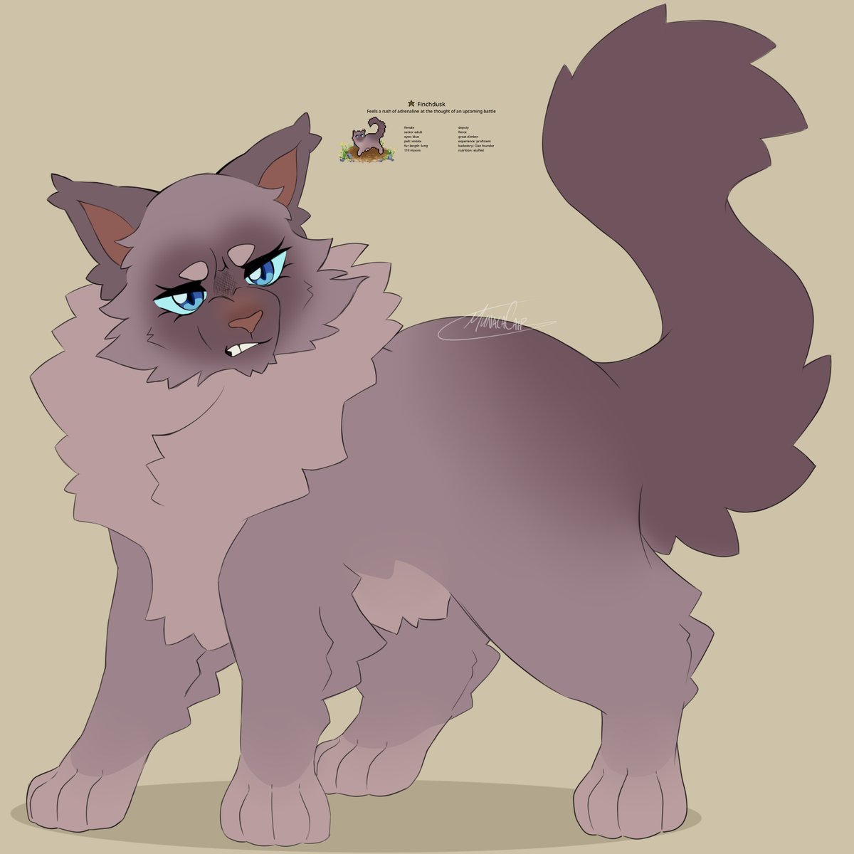 munaca_cair's tweet photo. I made some kitties using the Clangen game. They're pretty neat :3

#Warriors #warriorcats #clangen https://t.co/bxM1W1v4J4