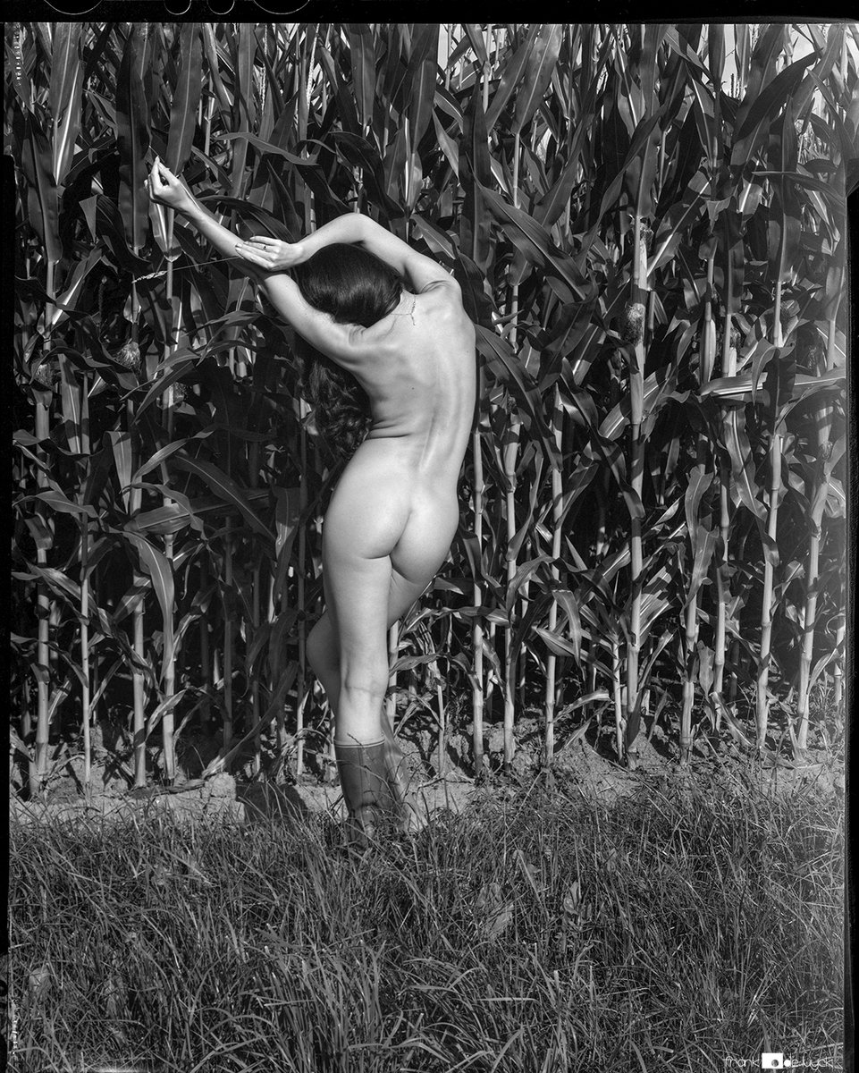 FrankDeLuyck's tweet photo. Diana, on LF 4x5 Ilford Delta film
#largeformat #4x5inch #fieldcamera #Chamonix #Ilfordfilm #Delta100 #blackandwhite #farm #field #corn #art #nude #outdoors #series #beauty #dianamendelson #modelshoot https://t.co/twsa0nJt2K