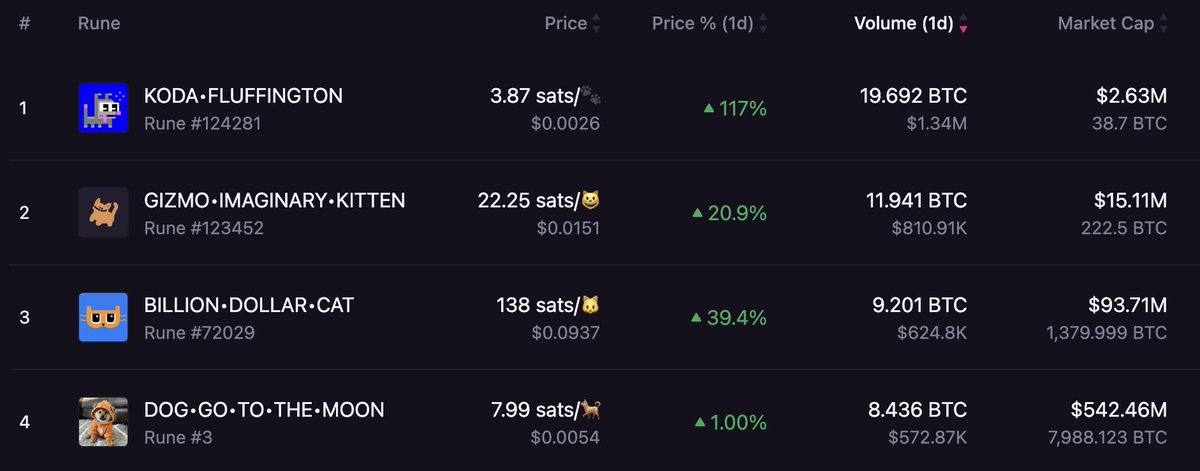 Bongo 🥁 tweet media