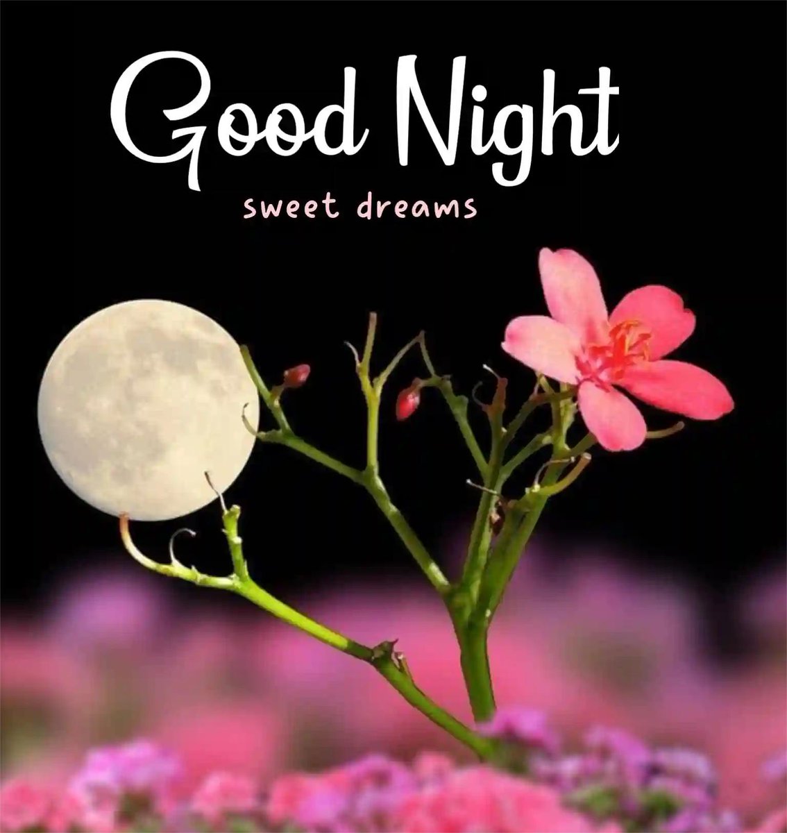 Good night my all friends