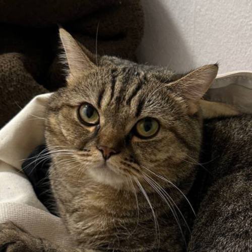 BAGmfer's tweet photo. $MARS Meet Mars, the internet’s most lovable furball 😻
TG: https://t.co/dd9fz2AOAf

77K7nL8yd755EuMXA2ojPJ1Vy2FrDbGbxyBJ5VD8sQWT https://t.co/L1oDNvlMVo